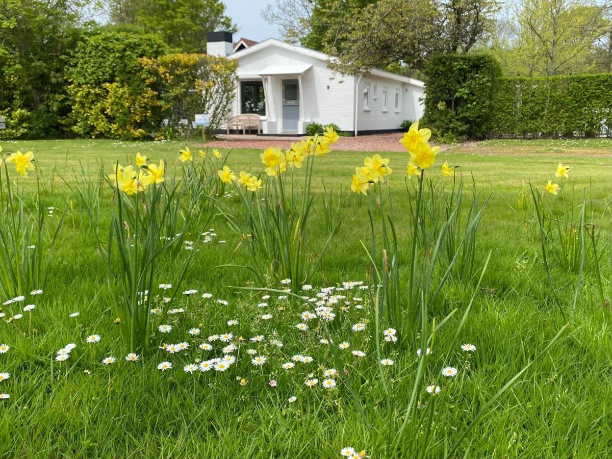 אוסטקאפלה Holiday Park Dennenbos מראה חיצוני תמונה