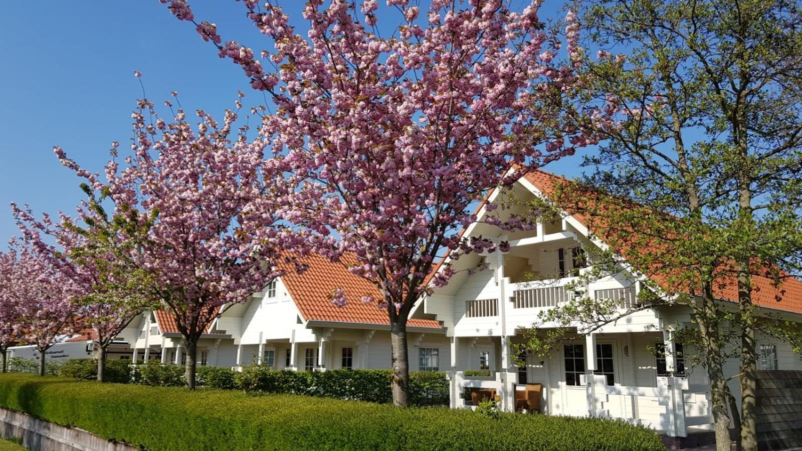 אוסטקאפלה Holiday Park Dennenbos מראה חיצוני תמונה