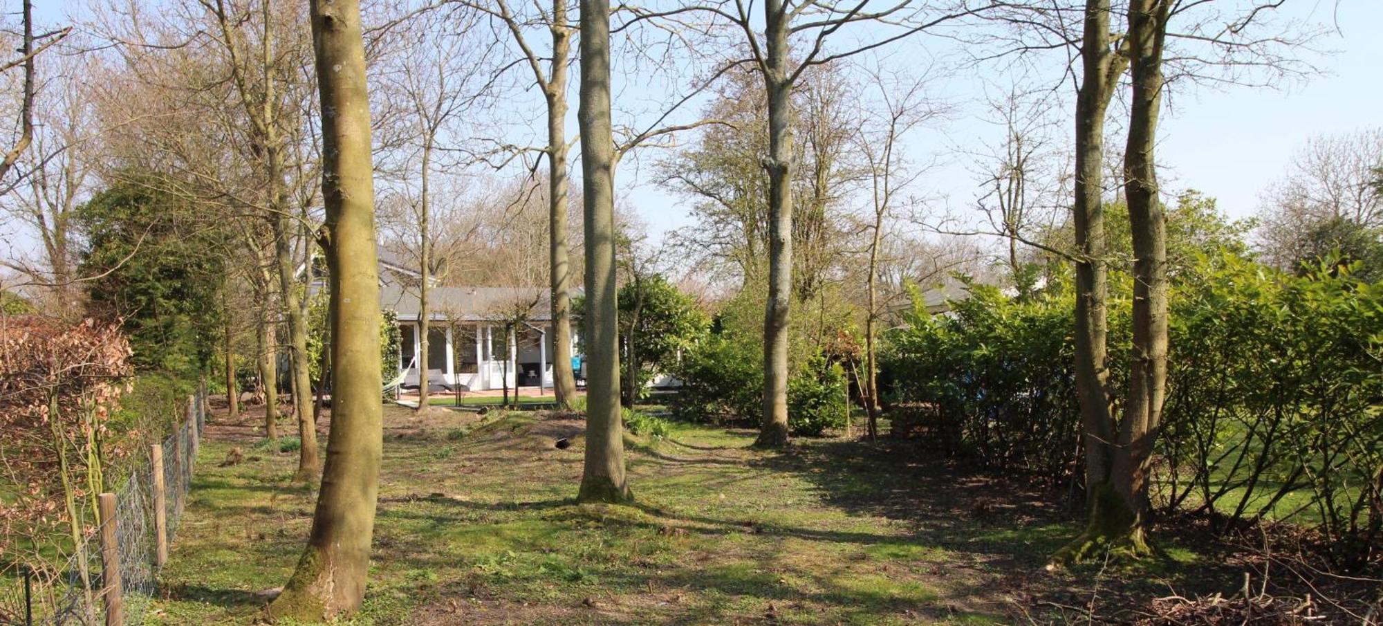 אוסטקאפלה Holiday Park Dennenbos מראה חיצוני תמונה