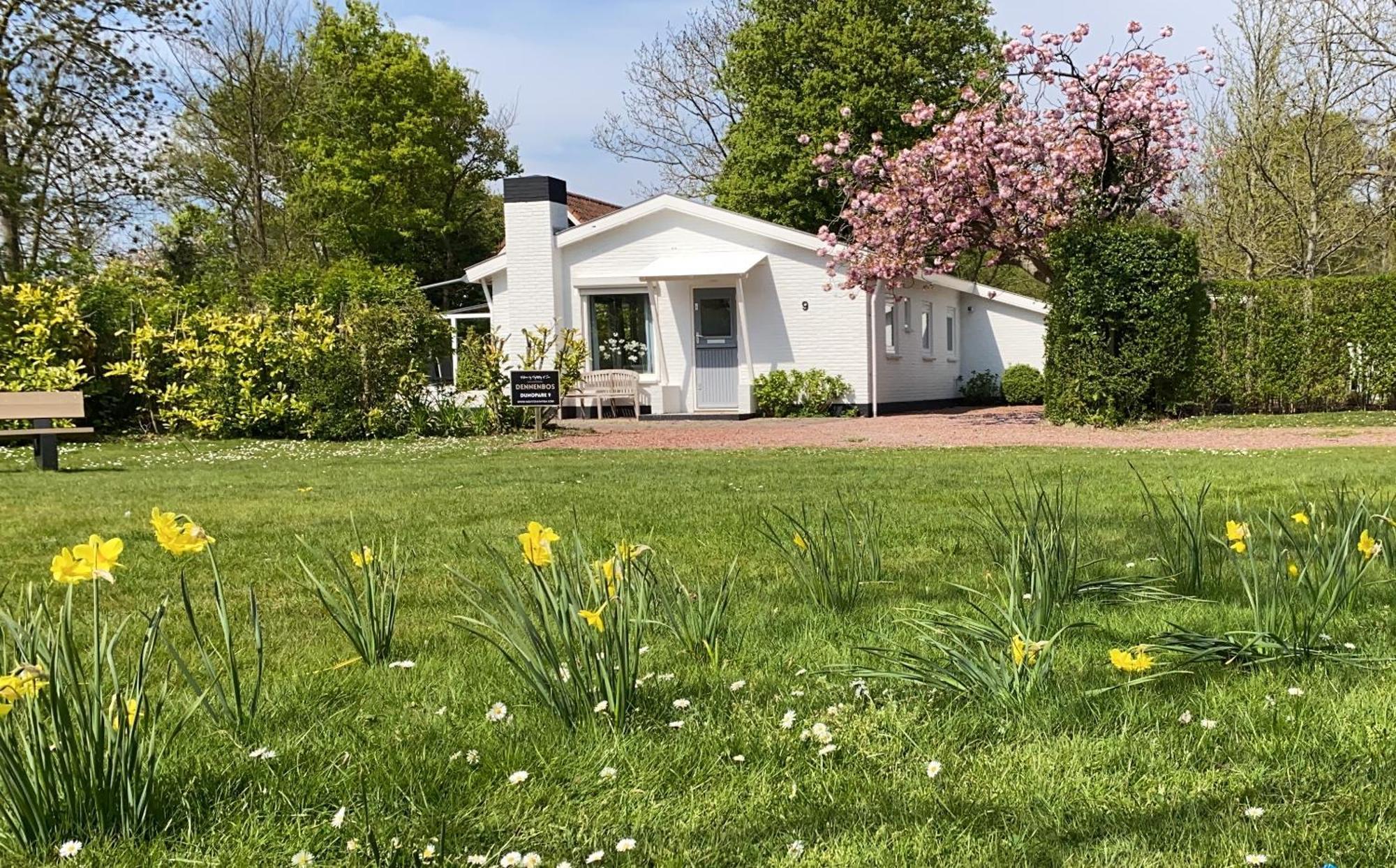 אוסטקאפלה Holiday Park Dennenbos מראה חיצוני תמונה