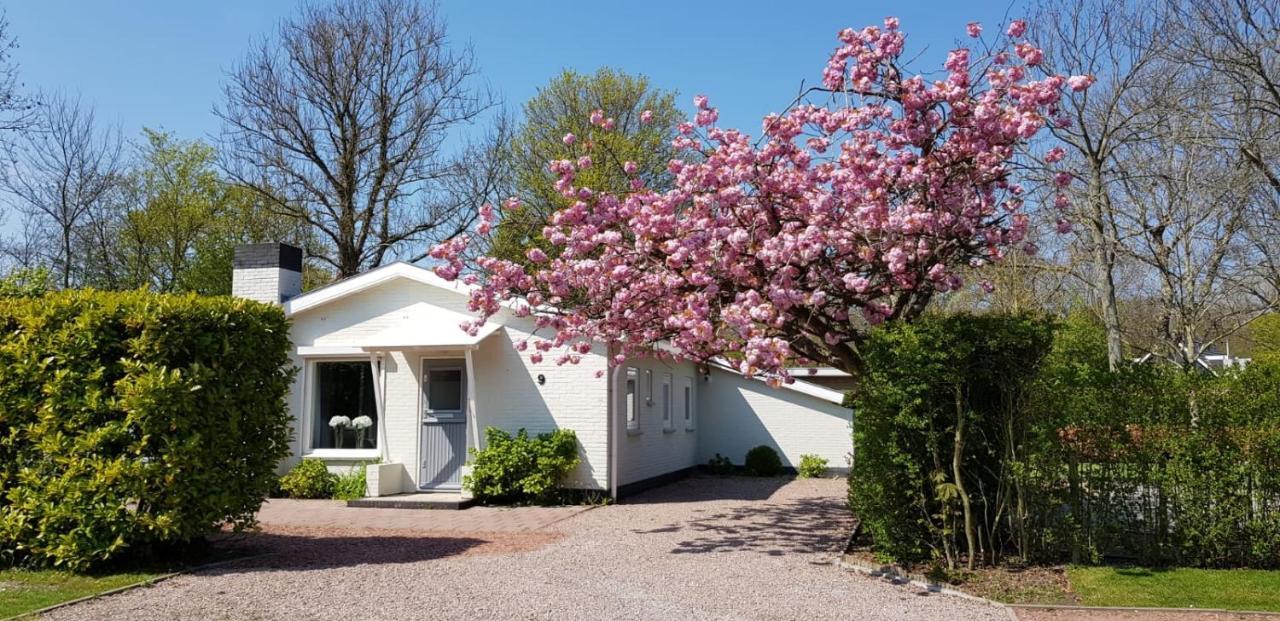 אוסטקאפלה Holiday Park Dennenbos מראה חיצוני תמונה